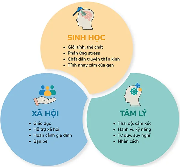 TRIẾT LÝ ĐIỀU TRỊ